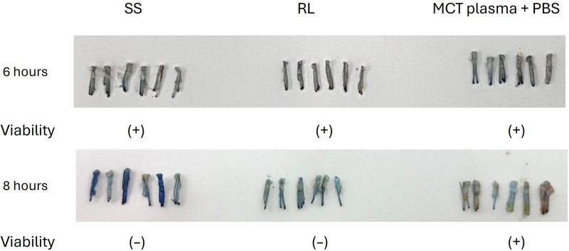 Fig. 3.