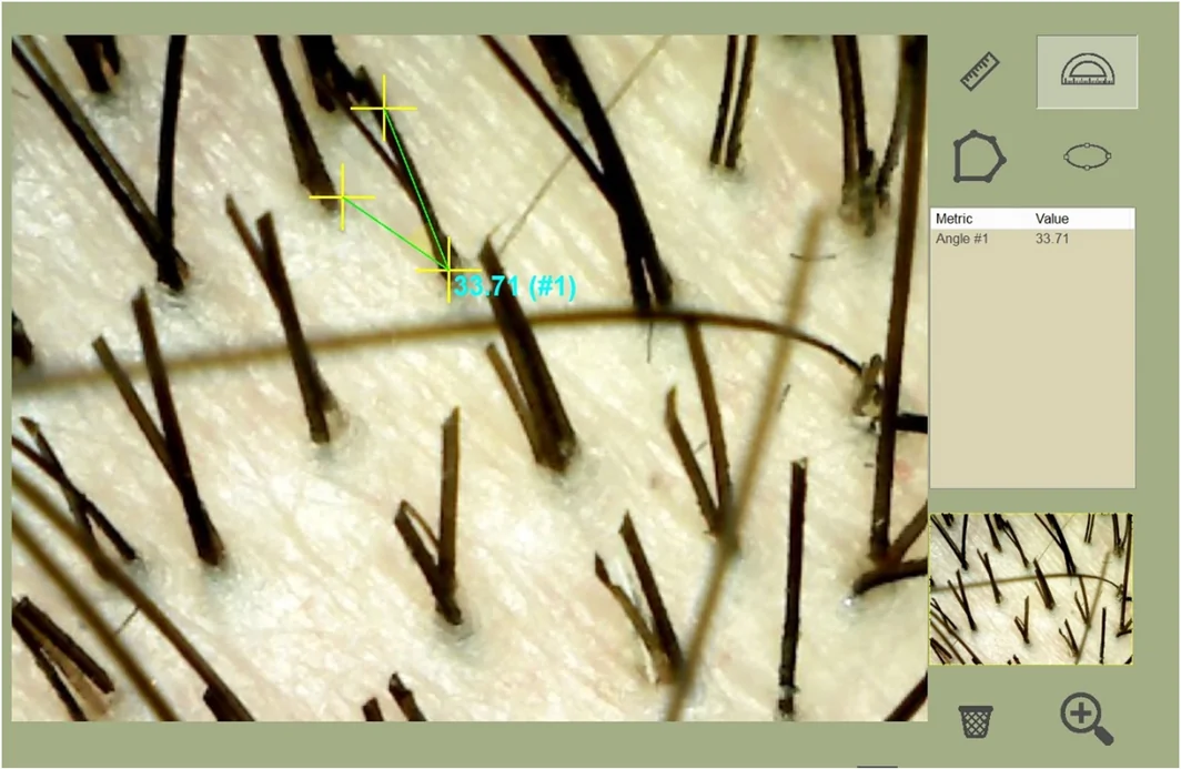FIGURE 3