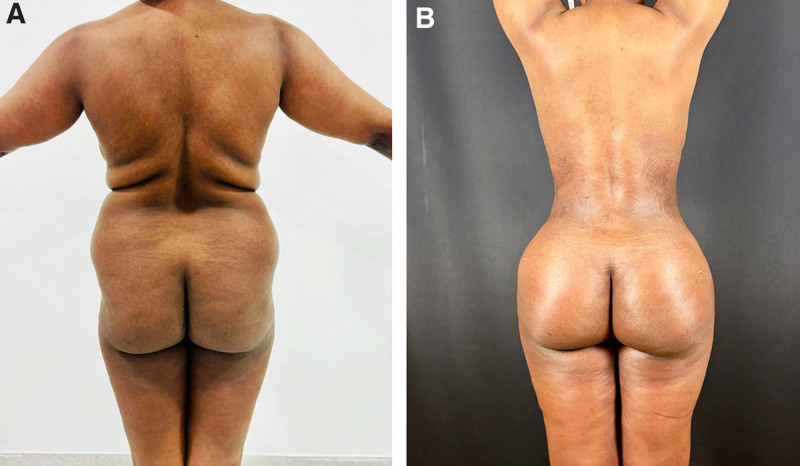 Fig. 8.