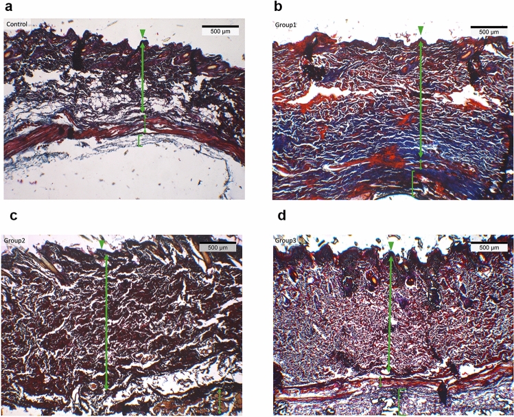Fig. 8