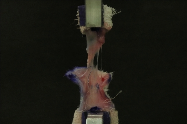 Fig. 9