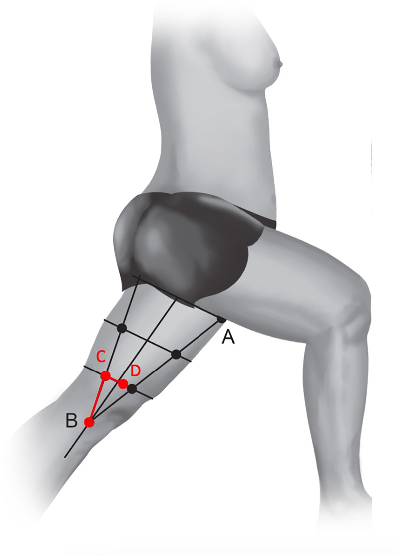 Fig. 10.