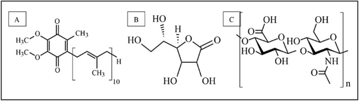 FIGURE 1