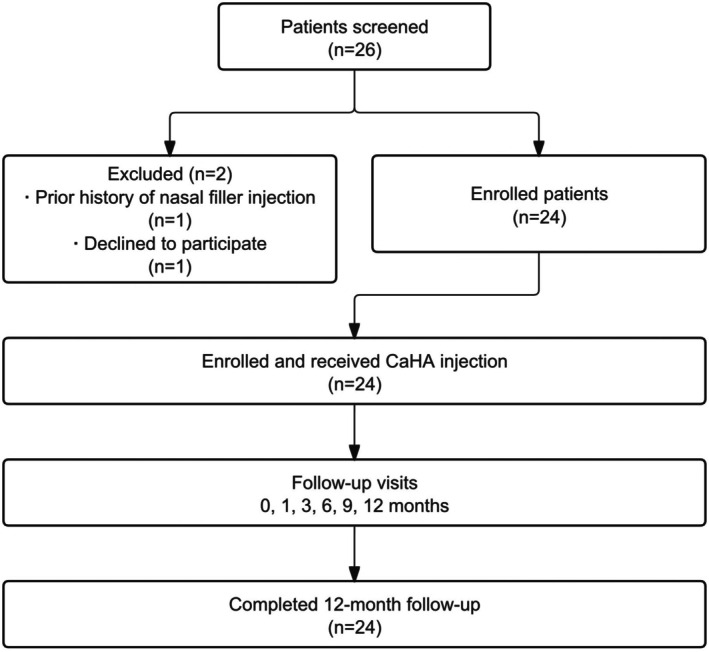 FIGURE 1