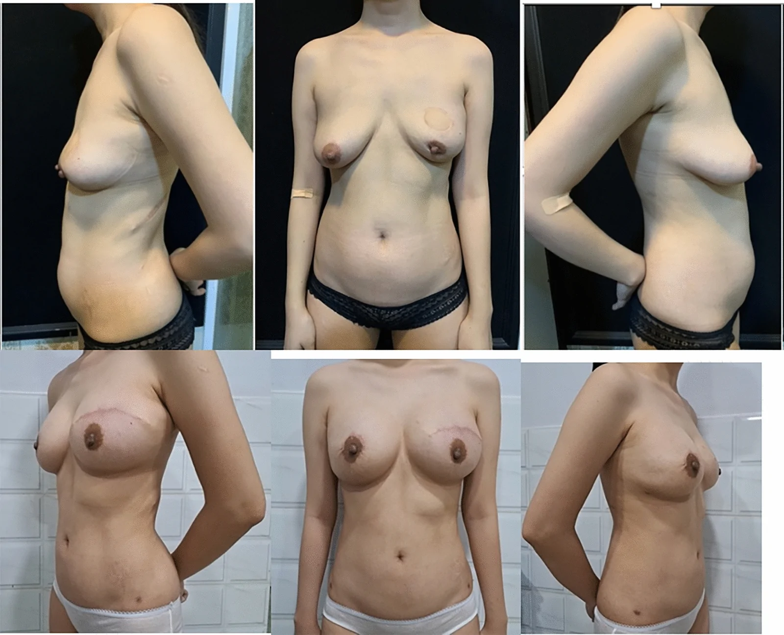 Fig. 5