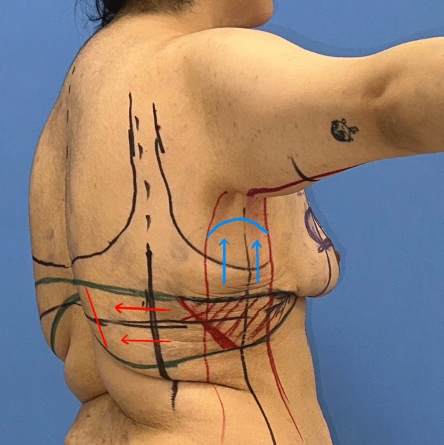 Fig. 7