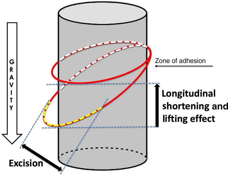 Fig. 3.