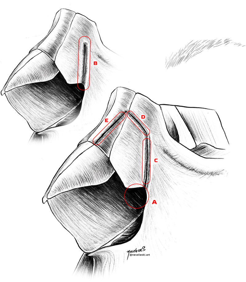 Fig. 2.