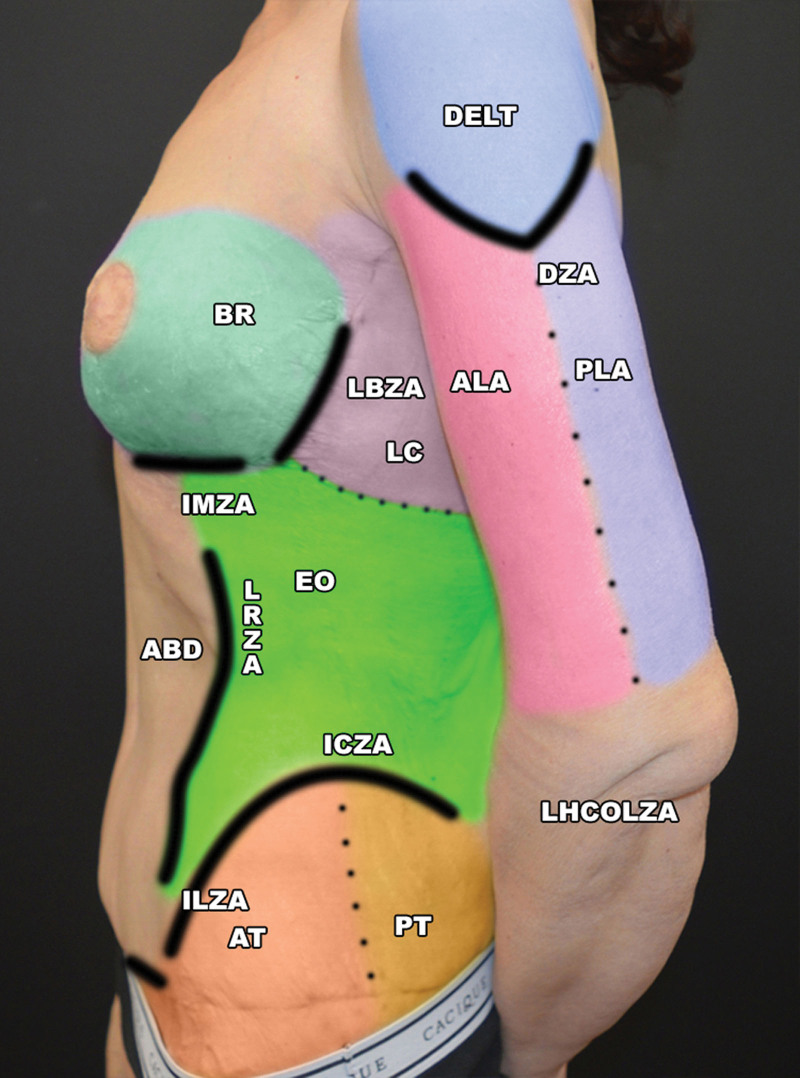 Fig. 4.