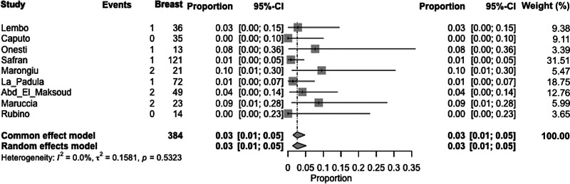 Fig. 10.