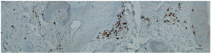 Figure 16