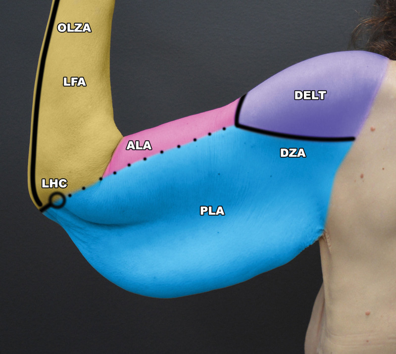 Fig. 8.