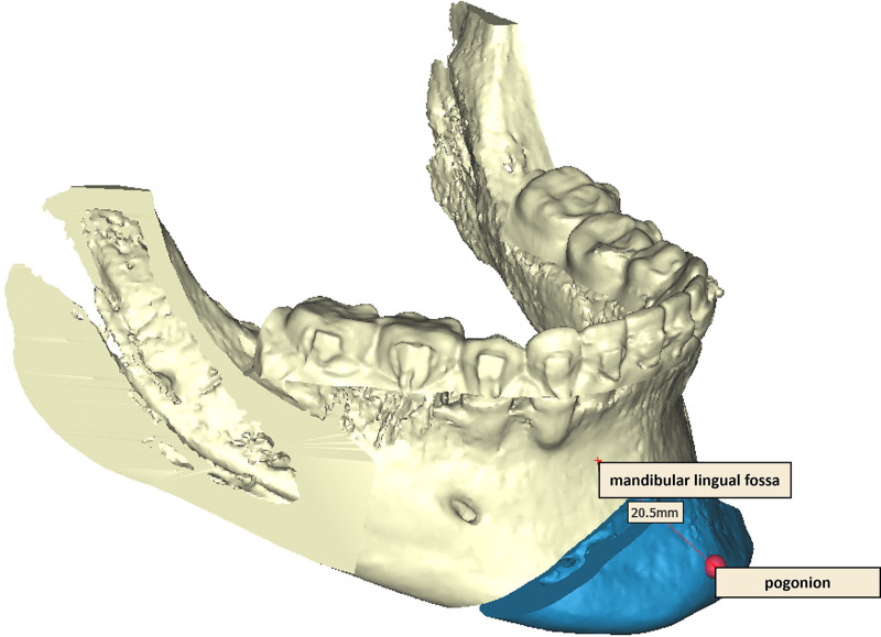 Fig. 8.
