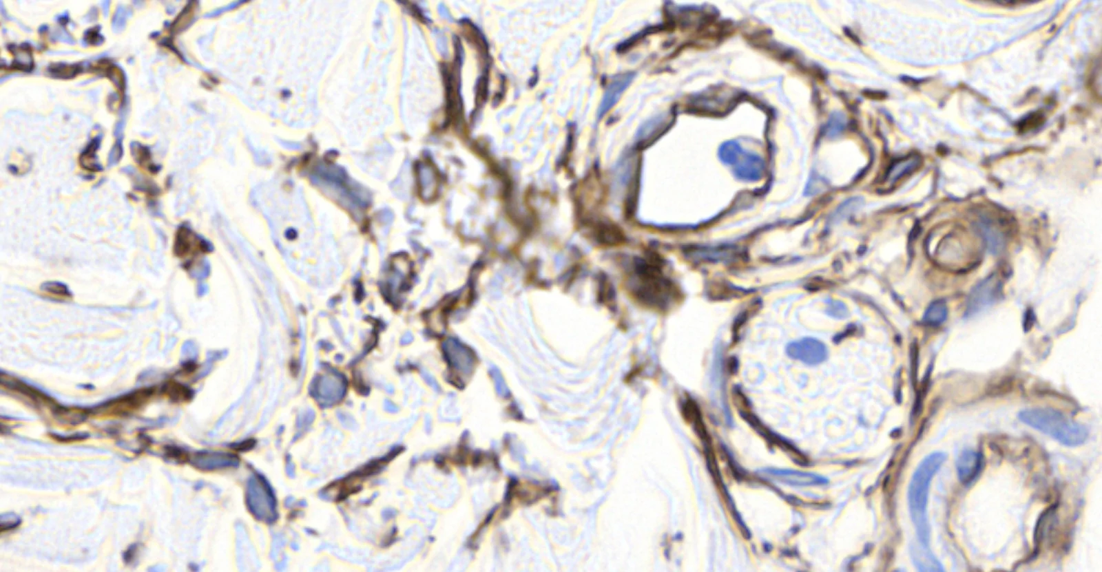 Fig. 7.
