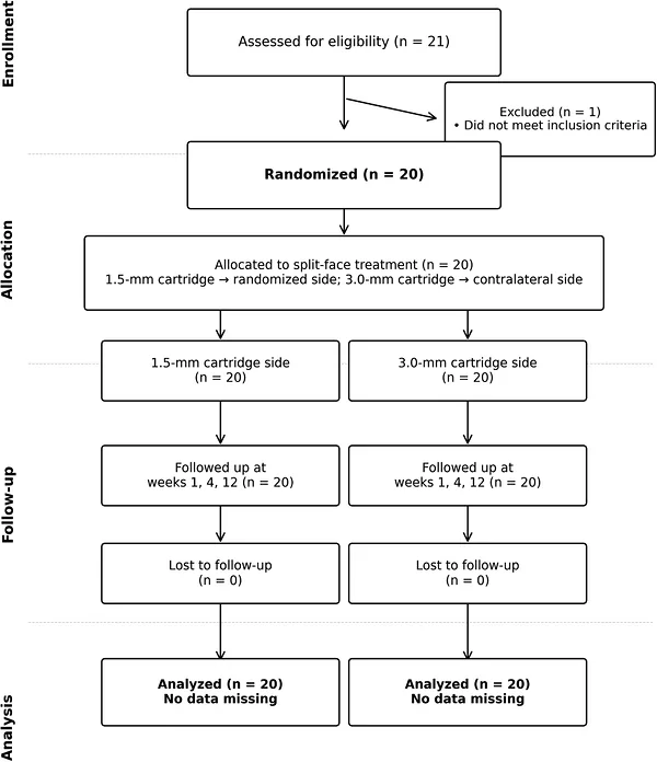 FIGURE 1