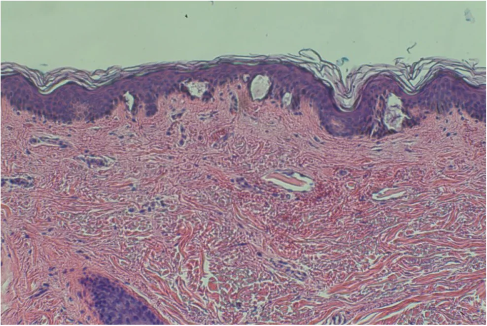 FIGURE 3